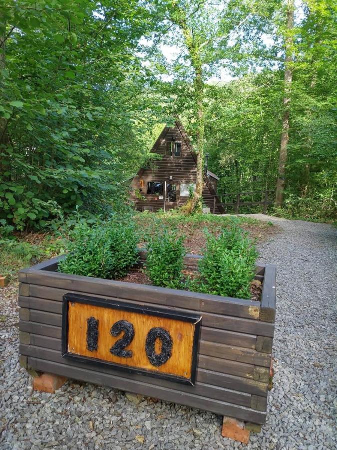 De Bosdriehoek Ii Chalet