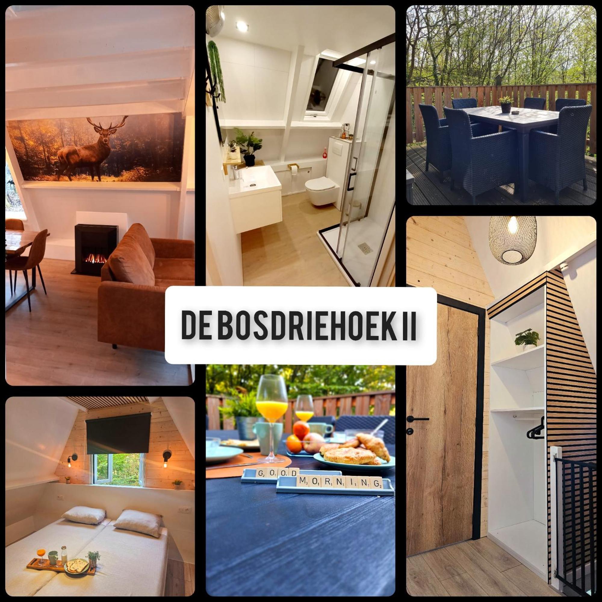 De Bosdriehoek Ii Chalet