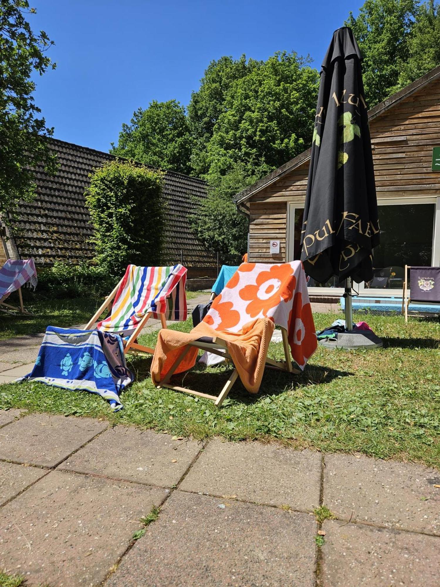 De Bosdriehoek Ii Chalet *